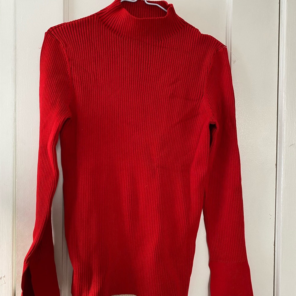 Zara Long Sleeve Turtle Neck
